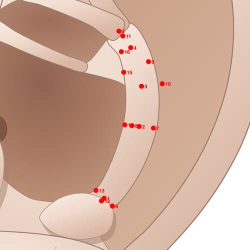 Location of acupuncture point AH14 (Chest)