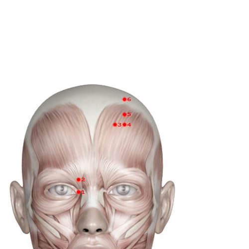 BL04 acupoint