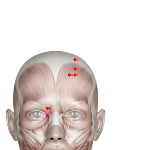 Location of acupuncture point BL04 (Deviating Turn)