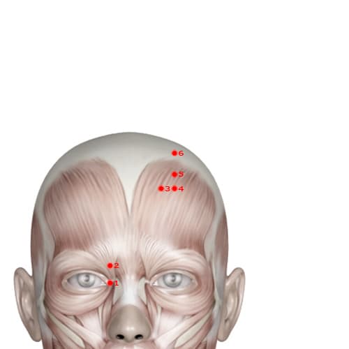 BL05 acupoint