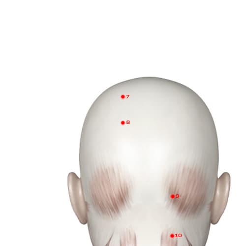 BL08 acupoint