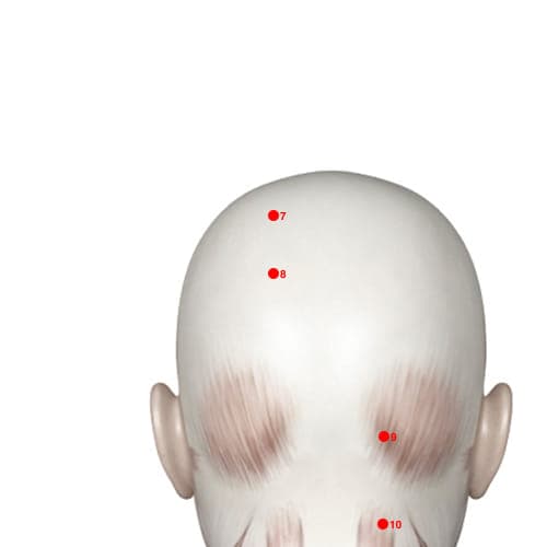 Location of acupuncture point BL08 (Declining Connection)