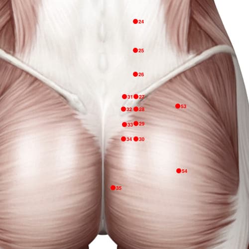 BL33 acupoint