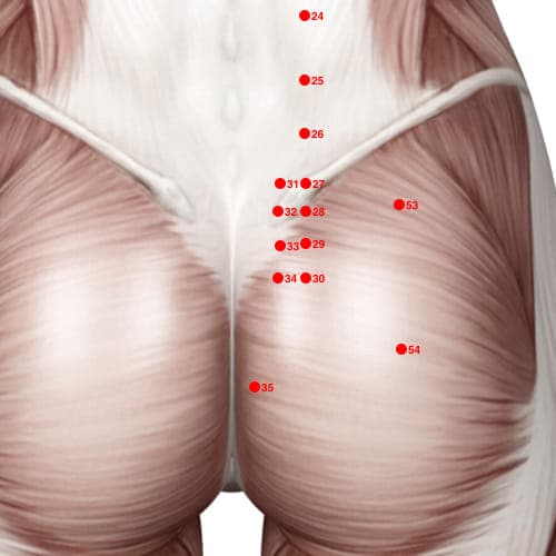 BL34 acupoint