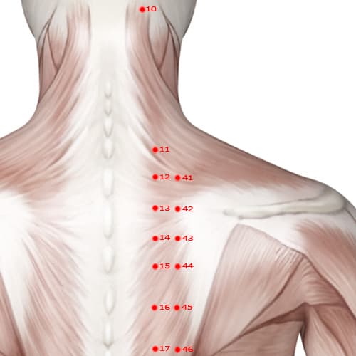 BL41 acupoint