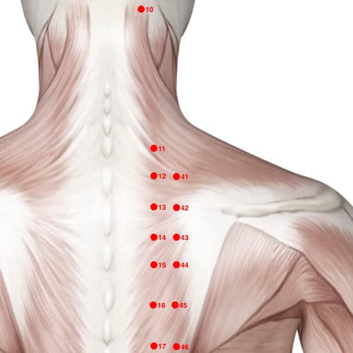 Location of acupuncture point BL41 (Attached Branch)