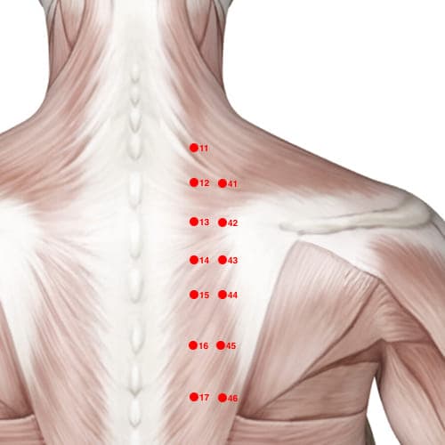 Location of acupuncture point BL42 (Door Of The Corporeal Soul)