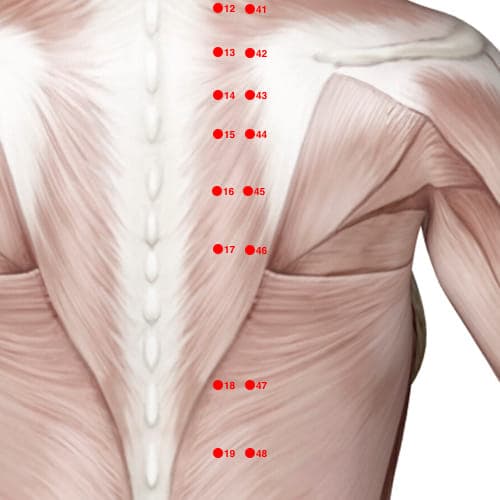 BL46 acupoint