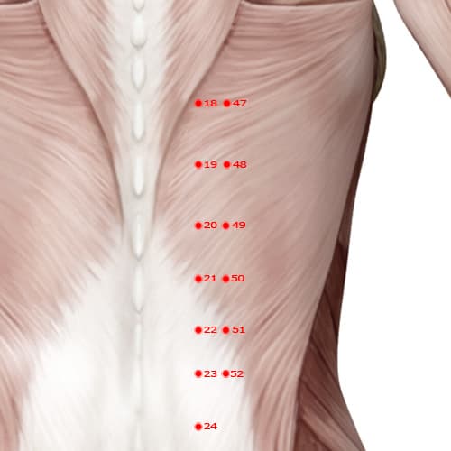 BL49 acupoint