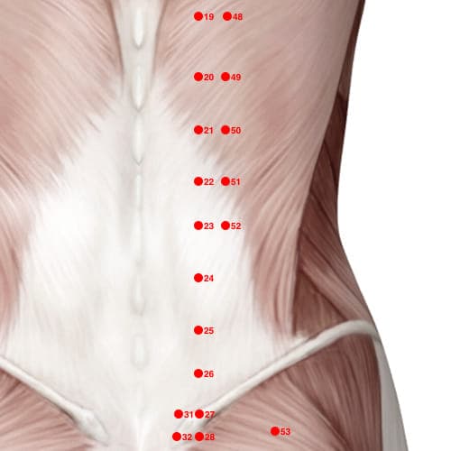 Location of acupuncture point BL52 (Willpower Room)