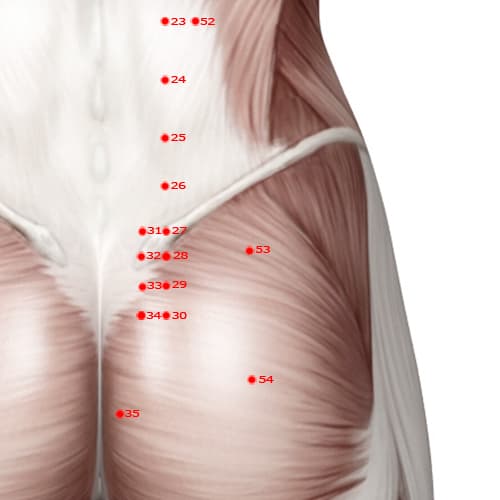 BL53 acupoint