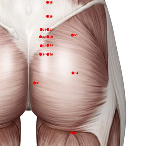 BL54 acupoint