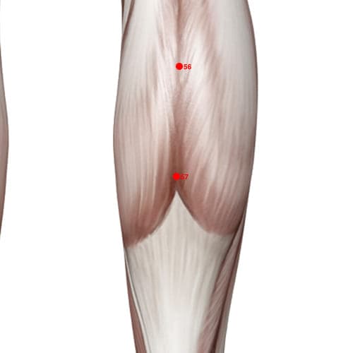 BL57 acupoint