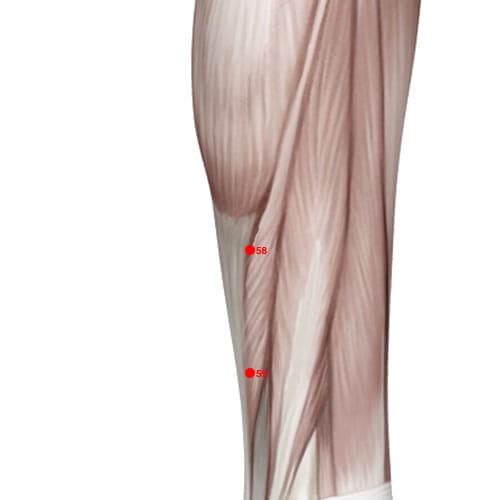 BL58 acupoint