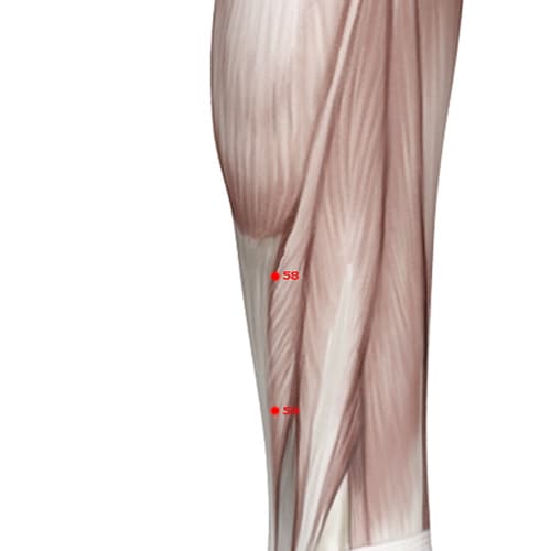 BL58 acupoint