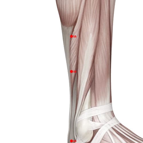 BL59 acupoint