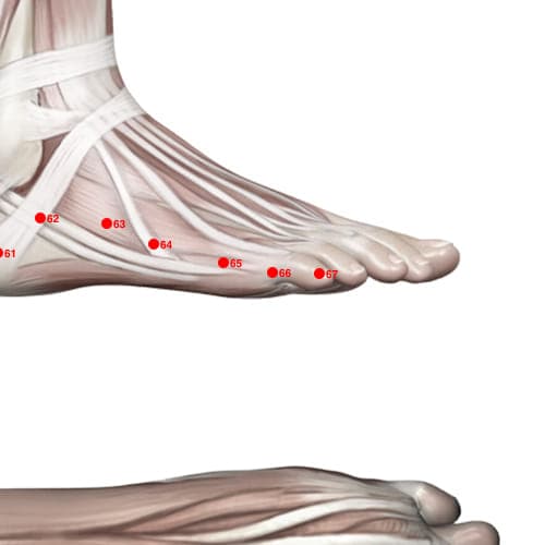 Location of acupuncture point BL66 (Foot Valley Passage)