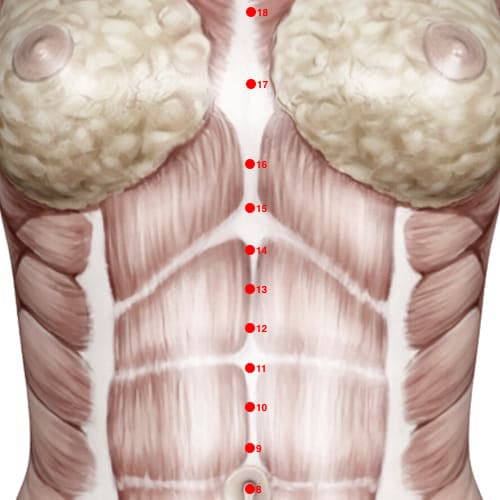 CV14 acupoint