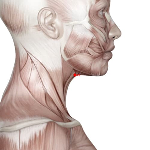 Location of acupuncture point CV23 (Clean Spring)