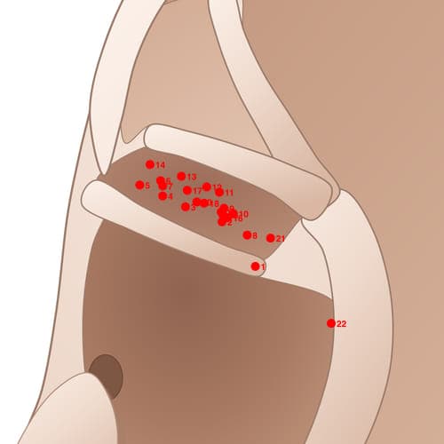 CYC02 acupoint