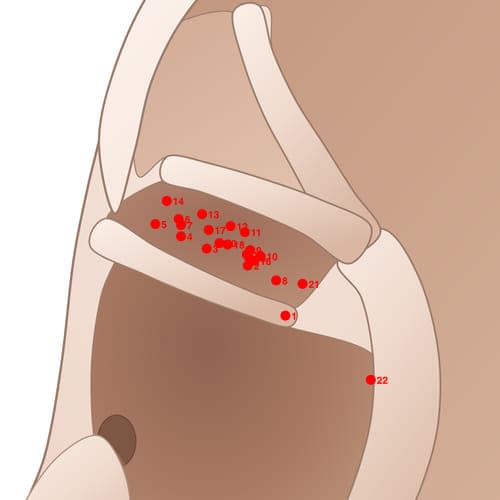 CYC09 acupoint