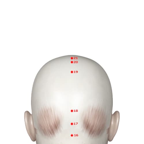 GV19 acupoint