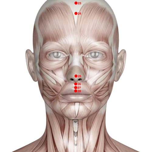 Location of acupuncture point GV25 (White Crevice)