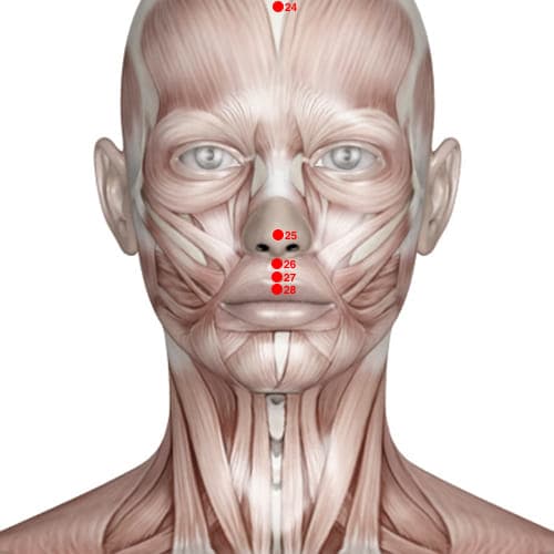 Location of acupuncture point GV27 (Extremity Of The Mouth)