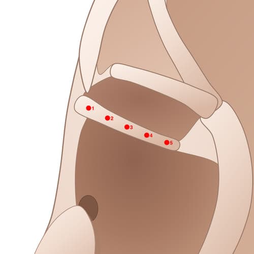 Location of acupuncture point HCS03 (Mouth)