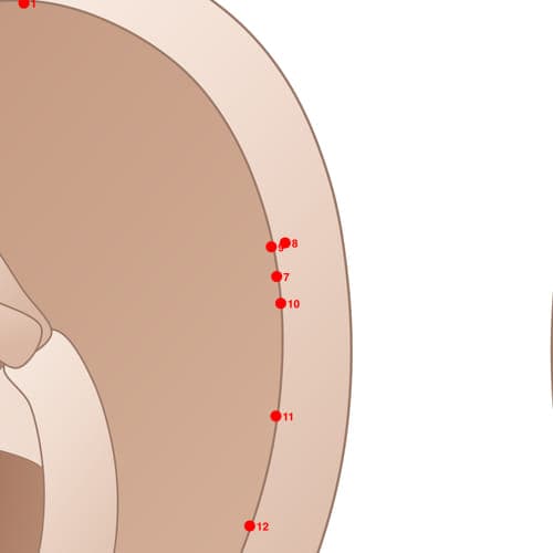 Location of acupuncture point HX07 (Tumor Specific Area 2)