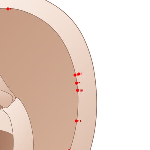 Location of acupuncture point HX09 Ganyang (Liver Yang)