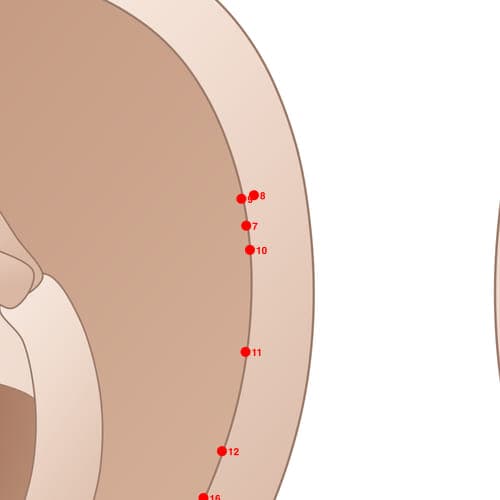 Location of acupuncture point HX10 Erlun1 (Helix 1)