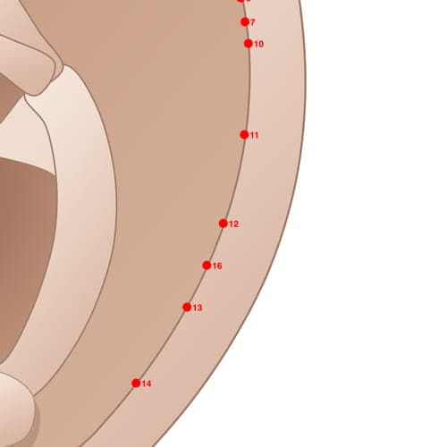 Location of acupuncture point HX12 (Helix 3)