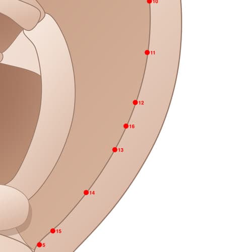 Location of acupuncture point HX16 (Helix 1-6)