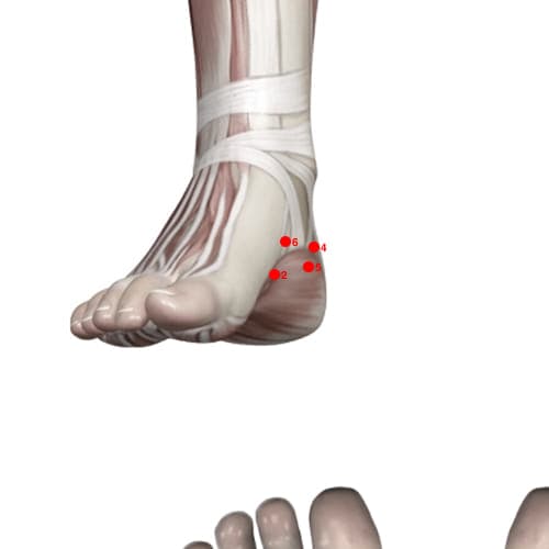 Location of acupuncture point KD02 (Blazing Valley)