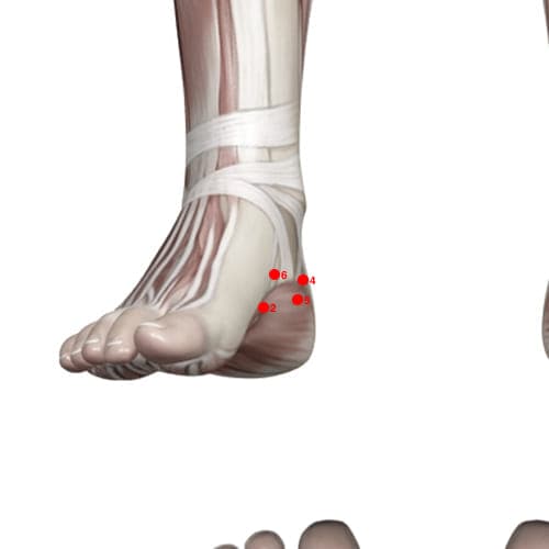 Location of acupuncture point KD06 (Shining Sea)