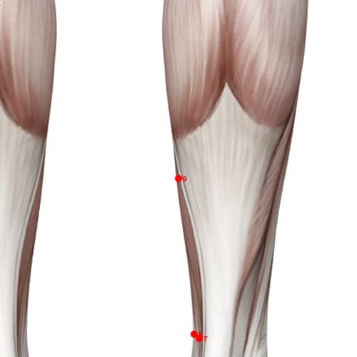 KD09 acupoint