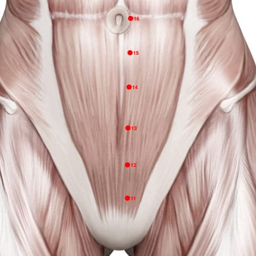 Location of acupuncture point KD13 (Qi Hole)