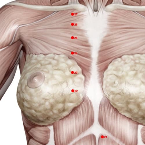 Location of acupuncture point KD23 (Spirit Seal)