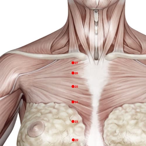 Location of acupuncture point KD26 (Lively Centre)