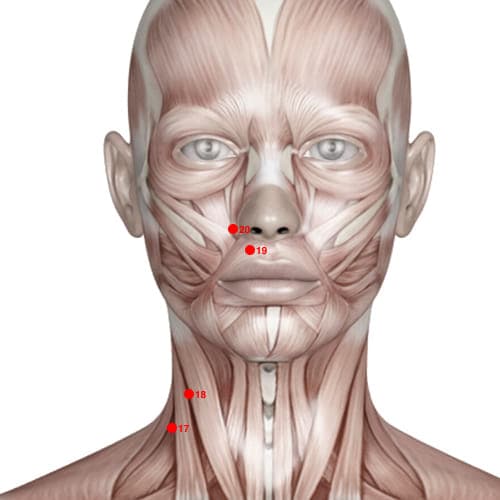 Location of acupuncture point LI19 (Grain Bone Hole)
