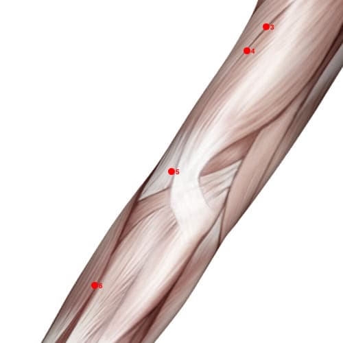 LU05 acupoint