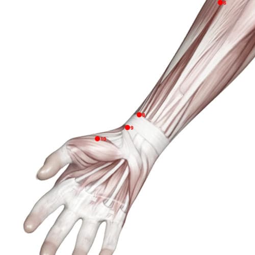 LU09 acupoint
