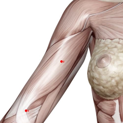Location of acupuncture point PC02 (Celestial Spring)