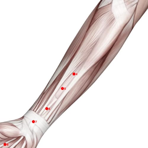 Location of acupuncture point PC04 (Cleft Gate)