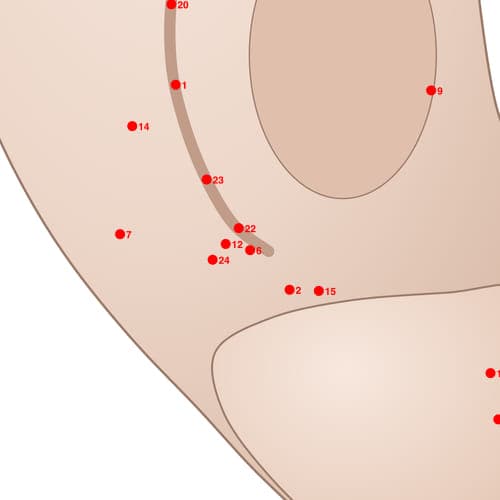 Location of acupuncture point POS06 (Dream Disturbed Sleeping Area)