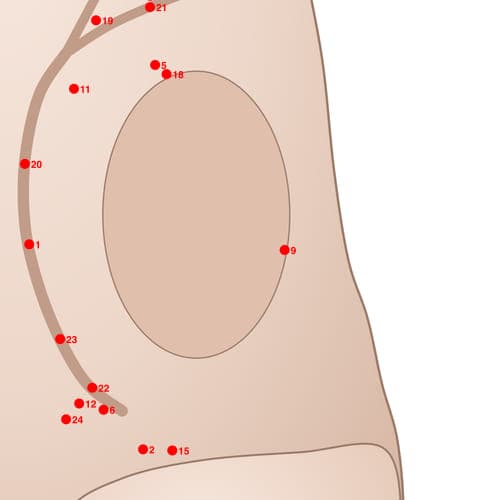 Location of acupuncture point POS09 Zhongergen (Middle Ear Root)