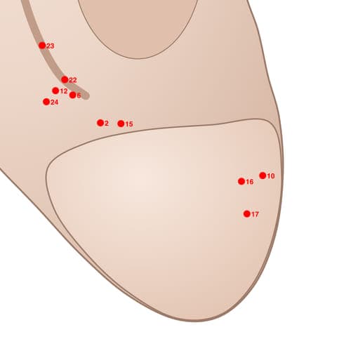 Location of acupuncture point POS10 (Lower Ear Root)