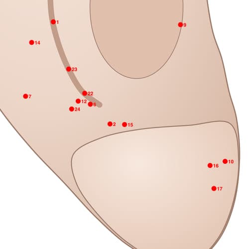 Location of acupuncture point POS15 (Smart Point)