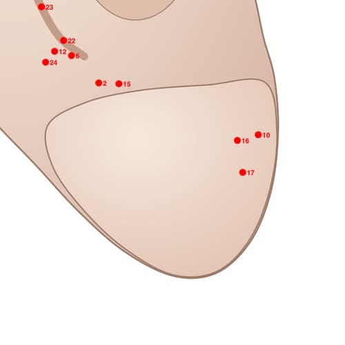 Location of acupuncture point POS17 (Be Happy Point)